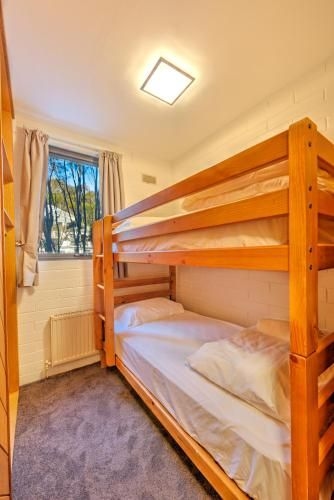 Snow Ski Apartments 293