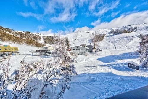 Snow Ski Apartments 411