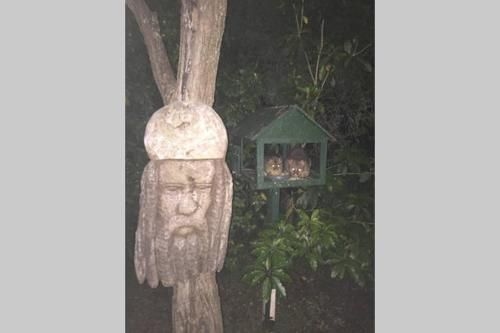 Kookaburra Retreat2
