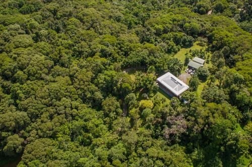 Daintree Manor B&B1