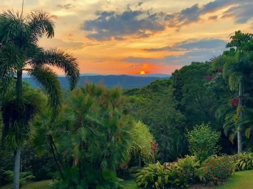 Daintree Manor B&B0