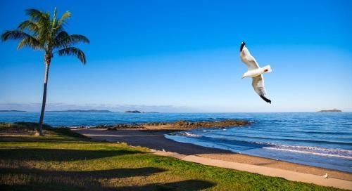 Endeavour Inn Emu Park4