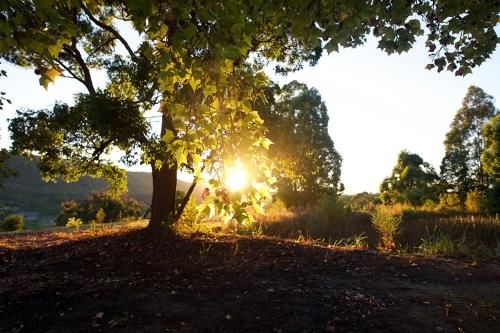 Clarendon Forest Retreat0