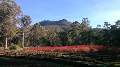 Mountain Blue Guest House3