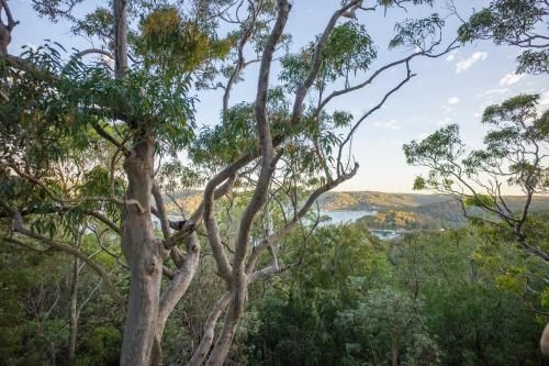 Sydney, Pittwater Eco YHA (Sydney, Pittwater YHA)2