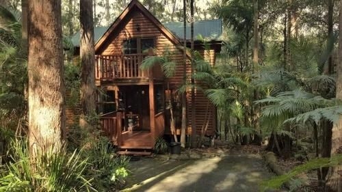 Springbrook Mountain Chalets3