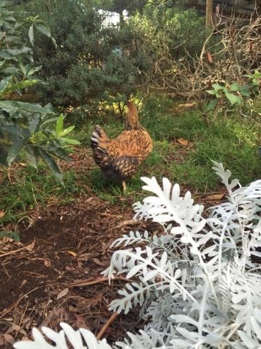 Sherwood park2