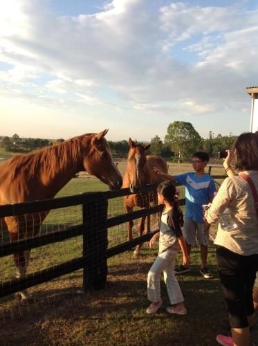 แคลนดูลลา คอทเทจ ฟาร์มสเตย์ (Clandulla Cottages Farmstay)3