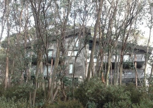Sasalis 9 - Falls Creek Private Apartment3