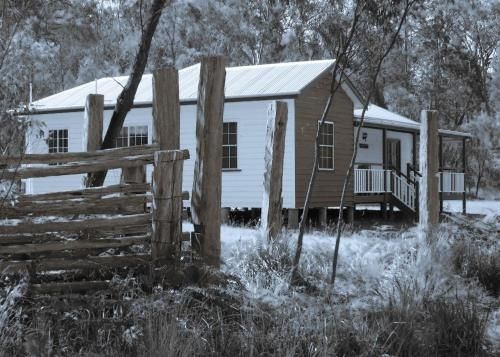 Neds Cabin1