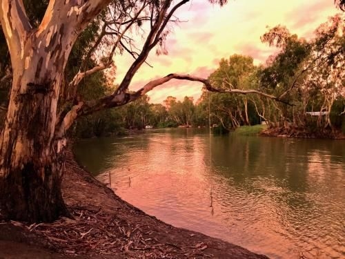 River Motel (CluBarham River Motel)3
