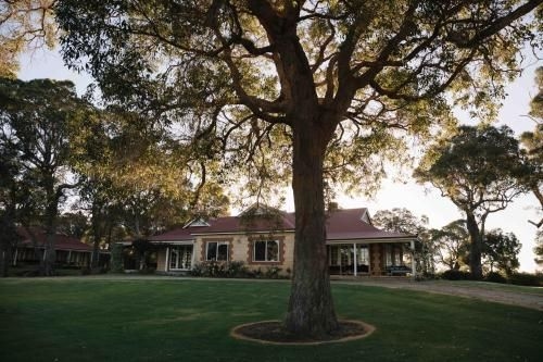 Cherubino Wines Guest Houses (Caves Road Guest Houses)1