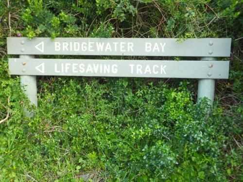 Beachwalk Cottage4