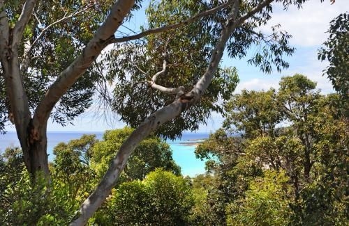 Kestral Ashore3