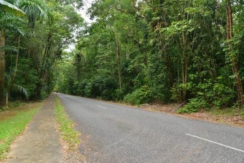 Wait A While Daintree2
