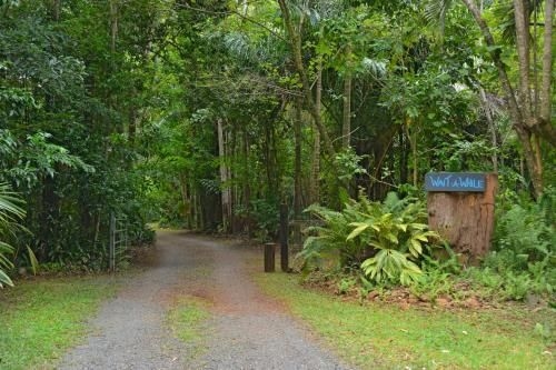 Wait A While Daintree1