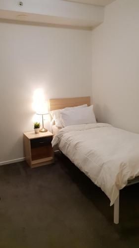 2 bedrooms CBD FREE Tram apartment (Melb Central, China Town, Queen Victoria Market, Melbourne University, RMIT, etc)4