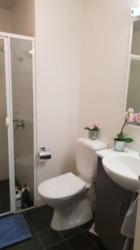 2 bedrooms CBD FREE Tram apartment (Melb Central, China Town, Queen Victoria Market, Melbourne University, RMIT, etc)2