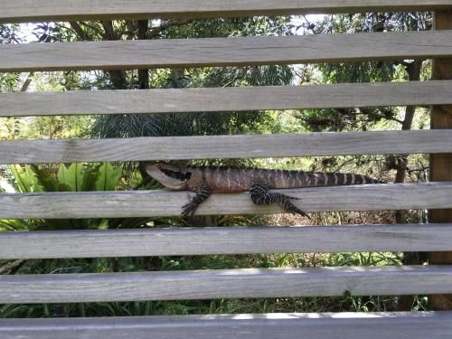 Discovery Parks - Lane Cove (Lane Cove Holiday Park)2