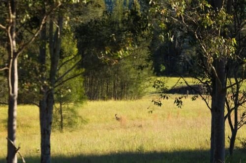 Windsors Edge Cottage Pokolbin3