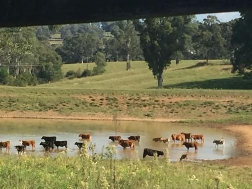 A place to be1