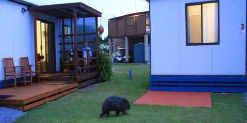 BIG4 Kelso Sands Holiday & Native Wildlife Park0