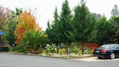 โกลเด้น ลีฟ โมเทล (Golden Leaf Motel)3