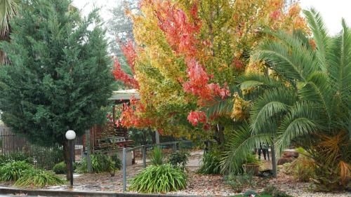 โกลเด้น ลีฟ โมเทล (Golden Leaf Motel)4