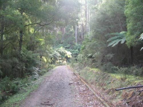 Warburton Holiday House4