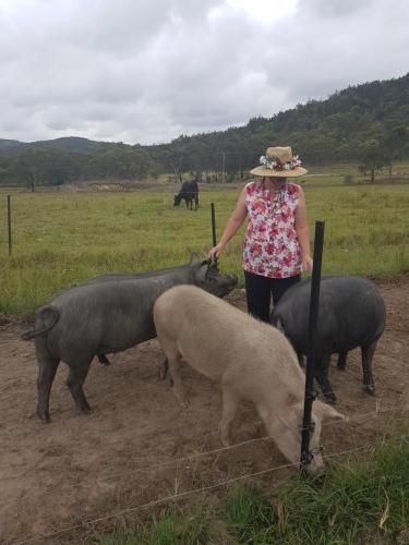 Happy Pig Farm3
