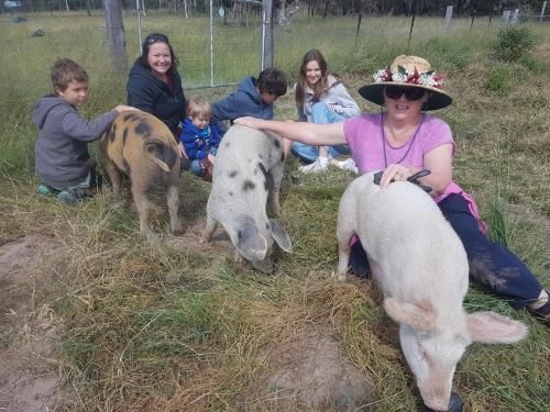 Happy Pig Farm1