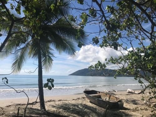 Daintree Rainforest Beach House2