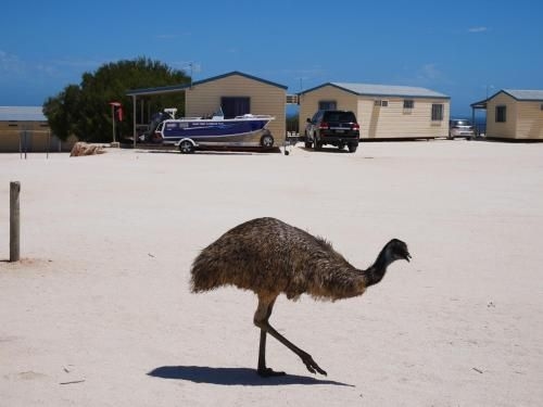 Denham Seaside Caravan Park3