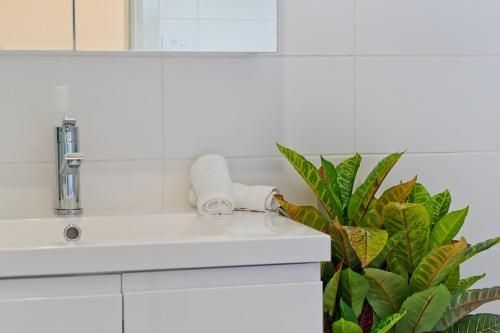 Accommodation Hunter - Adams Street Maitland3