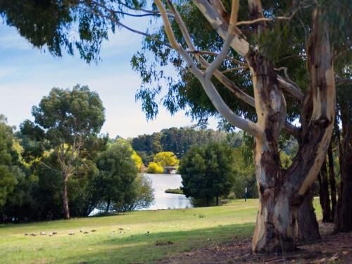 Lake Daylesford Lodge 43