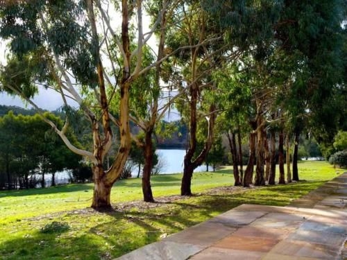 Lake Daylesford Lodge 53