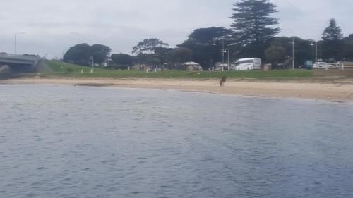 Beach Haven Caravan Park3
