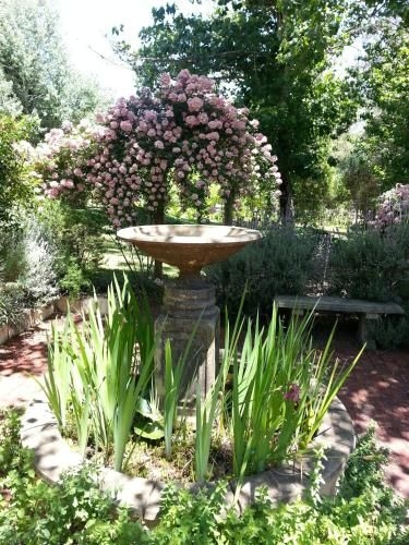 Redgum Hill Country Retreat3