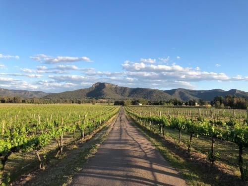 Nightingale Wines Luxury Villas0