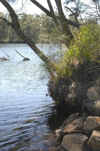 Bewong River Retreat4