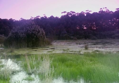 Bewong River Retreat3