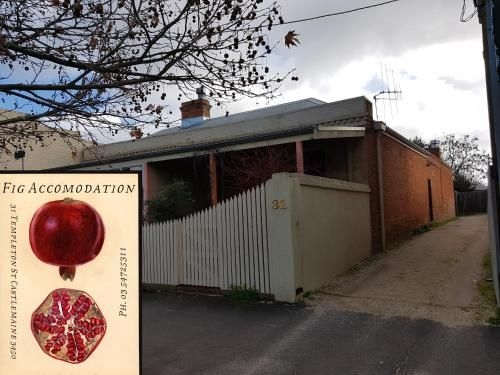 Fig Cafe and Accommodation0