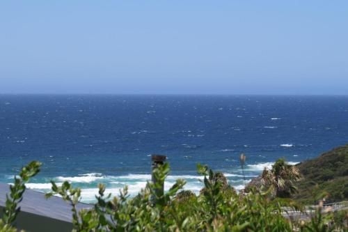 FYNE SHORES (Fyne Shores)1
