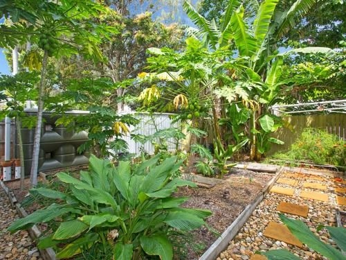 Papaya House1