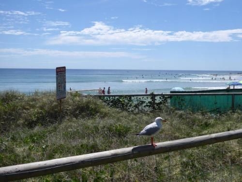 Rainbow Pacific Unit 2 - Right on the beach in Rainbow Bay Coolangatta Gold Coast4