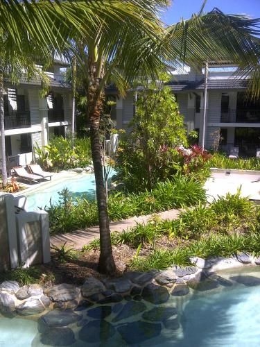 Penthouse 239 - Sea Temple Port Douglas4