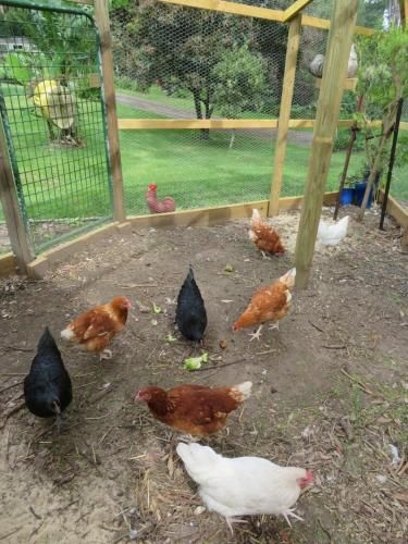 Werekataba Self-Catering Residence3