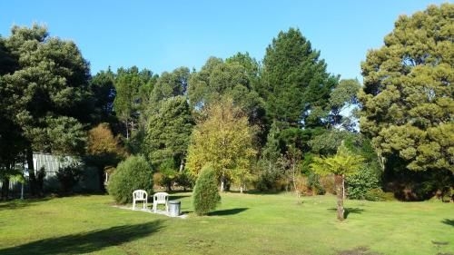 Zeehan Bush Camp2