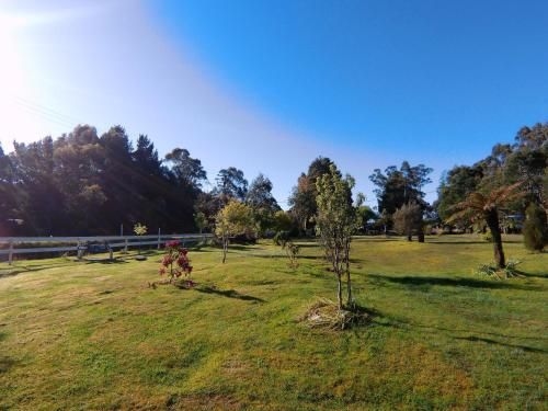 Zeehan Bush Camp1