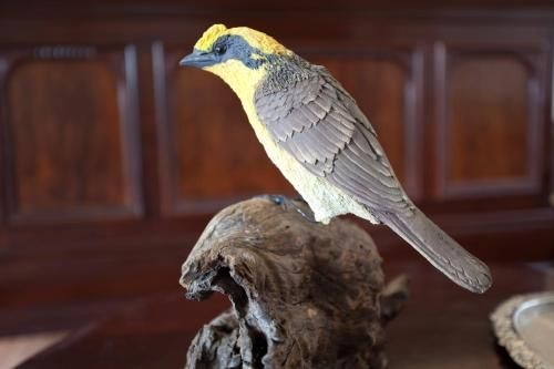 Honeyeater Cottage1
